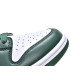 Nike Dunk Low Michigan State M Batch