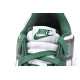 Nike Dunk Low Michigan State M Batch